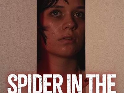 Spider in the&nbsp;Cupboard